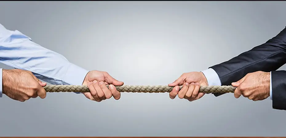 Competitor Investigation