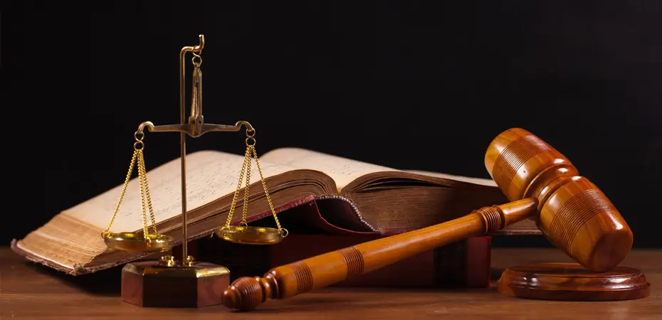 Litigation Support Service