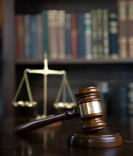 Litigation Support Service